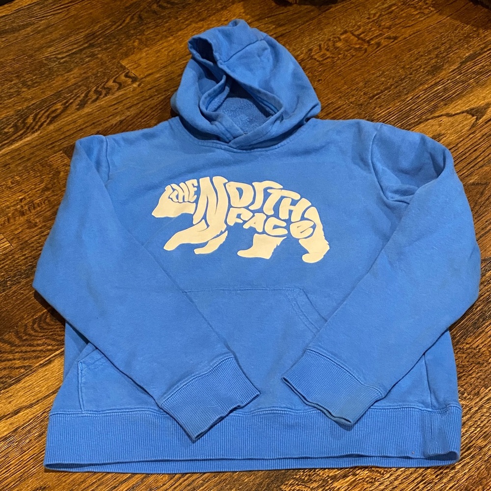 Boys Hooded The North Face Sweatshirt Size Large